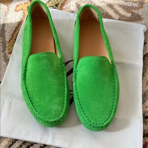 M. Gemi new parakeet green drivers